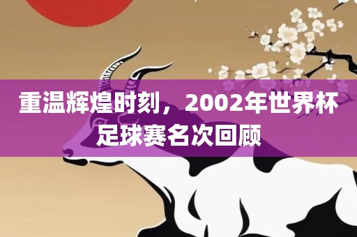 重温辉煌时刻，2002年世界杯足球赛名次回顾洛阳市法福文化传播有限公司