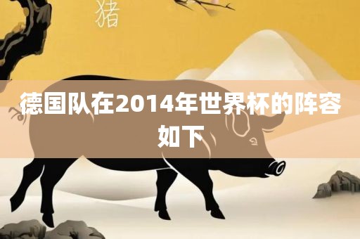 德国队在2014年世界杯的阵容如下