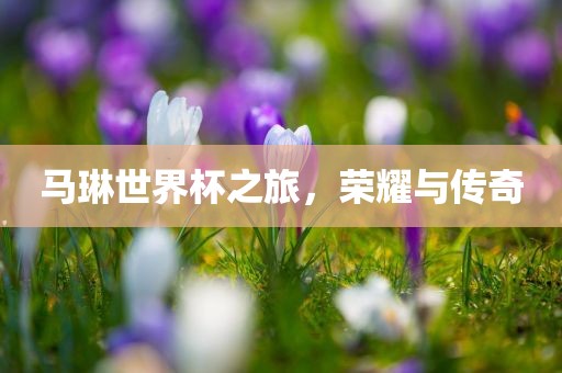 马琳世界杯之旅，荣耀与传奇