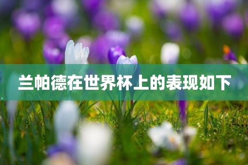 兰帕德在世界杯上的表现如下