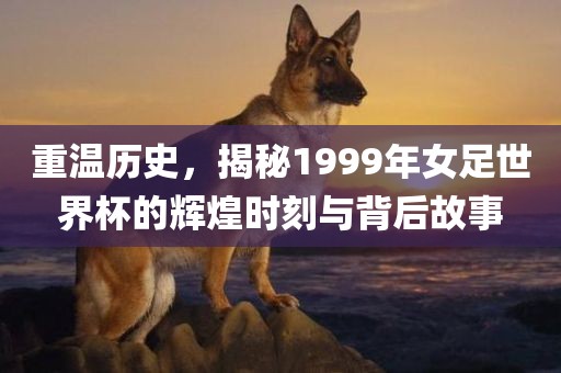 重温历史，揭秘1999年女足世界杯的辉煌时刻与背后故事洛阳市法福文化传播有限公司