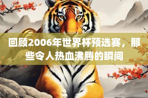 回顾2006年世界杯预选赛，那些令人热血沸腾的瞬间