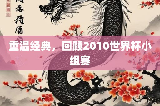 重温经典，回顾2010世界杯小组赛