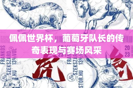 佩佩世界杯，葡萄牙队长的传奇表现与赛场风采洛阳市法福文化传播有限公司