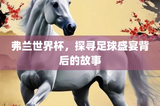弗兰世界杯，探寻足球盛宴背后的故事洛阳市法福文化传播有限公司
