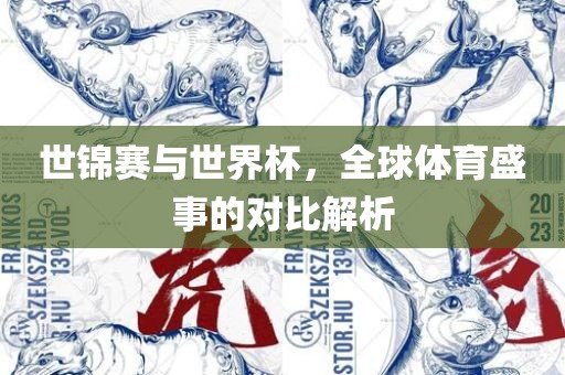 世锦赛与世界杯，全球体育盛事的对比解析