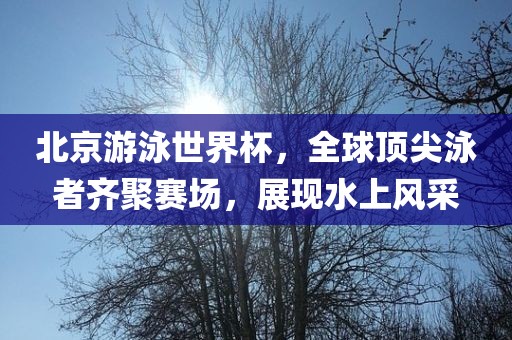 北京游泳世界杯，全球顶尖泳者齐聚赛场洛阳市法福文化传播有限公司，展现水上风采