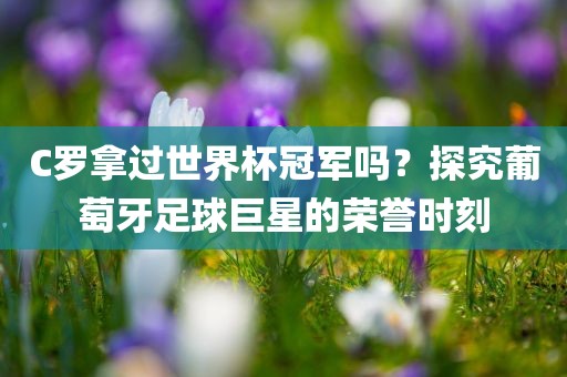 C罗拿过世界杯冠军吗？探究葡萄牙足球巨星的荣誉时刻洛阳市法福文化传播有限公司