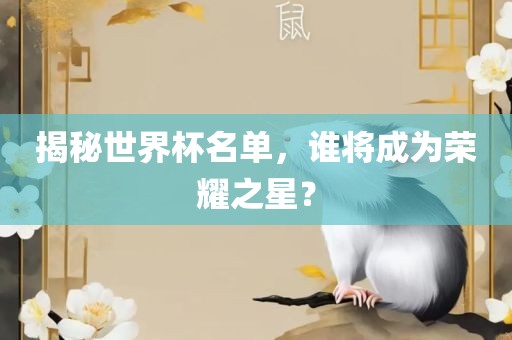 揭秘世界杯名单，谁将成为荣耀之星？