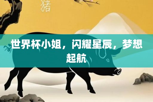 世界杯小姐，闪耀星辰，梦想起航