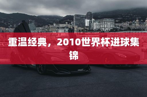 重温经典，2010世界杯进球集锦