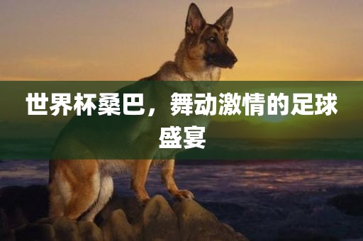 世界杯桑巴，舞动激情的足球盛宴洛阳市法福文化传播有限公司