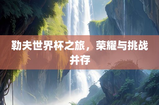 勒夫世界杯之旅，荣耀与挑战并存