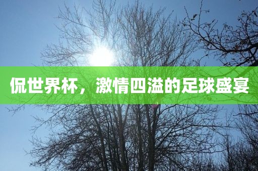 侃世界杯，激情四溢的足球盛宴