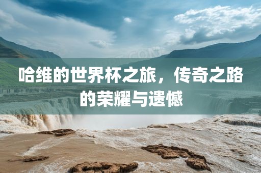 哈维的世界杯之旅，传奇之路的荣耀与遗憾洛阳市法福文化传播有限公司