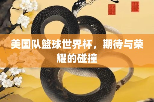 美国队篮球世界杯，期待与荣耀的碰撞洛阳市法福文化传播有限公司