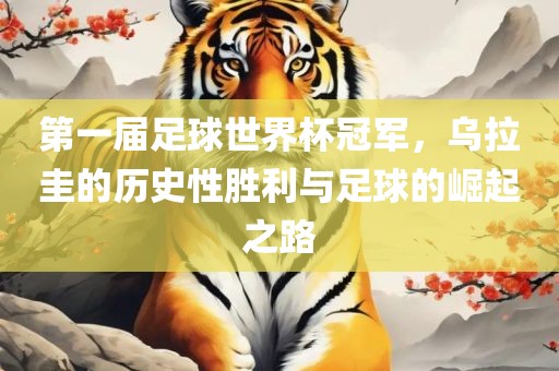 第一届足球世界杯冠军，乌拉圭的历史性胜利与足球的崛起之路洛阳市法福文化传播有限公司
