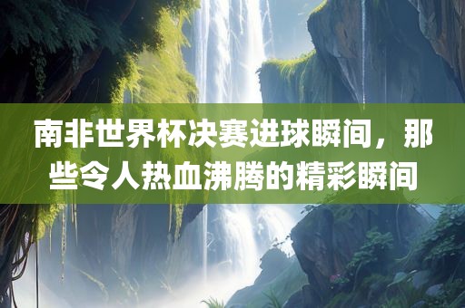 南非世界杯决赛进球瞬间，那些令人热血沸腾的精彩瞬间洛阳市法福文化传播有限公司