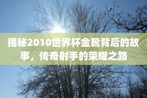 揭秘2010世界杯金靴背后的故事，传奇射手的荣耀之路