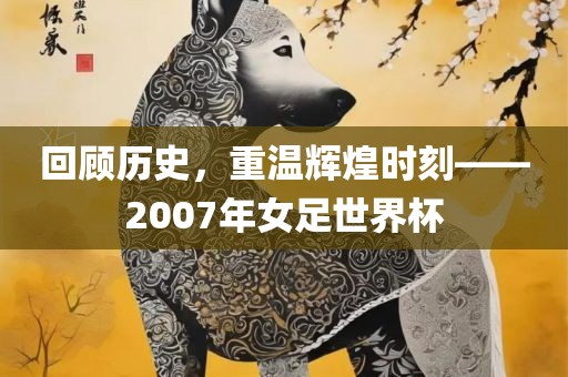 回顾历史，重温辉煌时刻——2007年女足世界杯