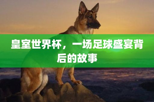 皇室世界杯，一场足球盛宴背后的故事