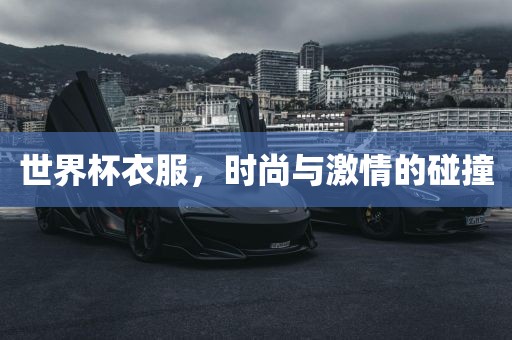 世界杯衣服，时尚与激情洛阳市法福文化传播有限公司的碰撞