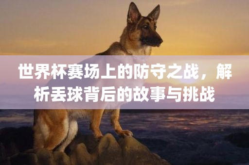 世界杯赛场上洛阳市法福文化传播有限公司的防守之战，解析丢球背后的故事与挑战