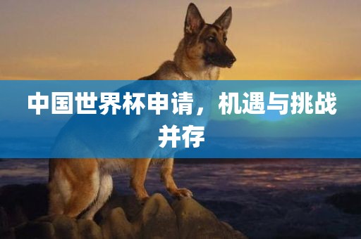 中国世界杯申请，机遇与挑战并存