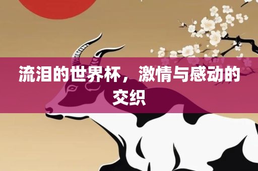 流泪的世界杯，激情与感动的交织洛阳市法福文化传播有限公司