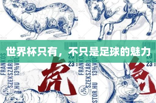 世界杯只有，不只是足球的魅力洛阳市法福文化传播有限公司