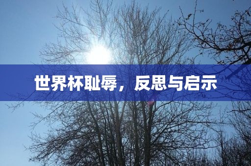 世界杯耻辱，反思与启示洛阳市法福文化传播有限公司