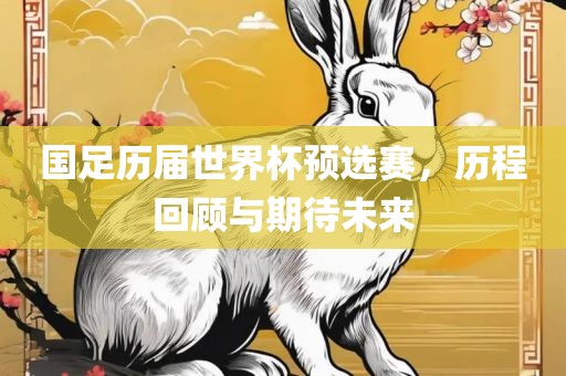 国足历届世界杯预选赛，历程回顾与期待未来