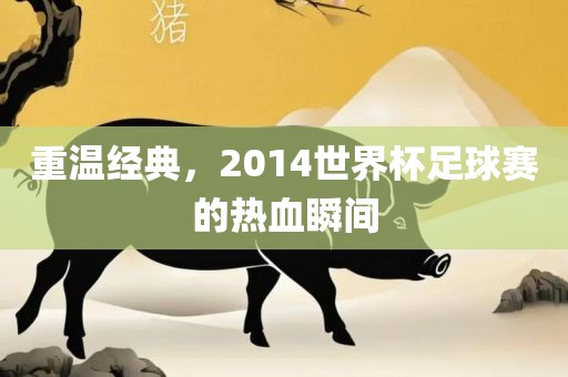 重温经典，2014世界杯足球赛的热血瞬洛阳市法福文化传播有限公司间