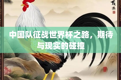 中国队征战世界杯之路，期待与现实的碰撞