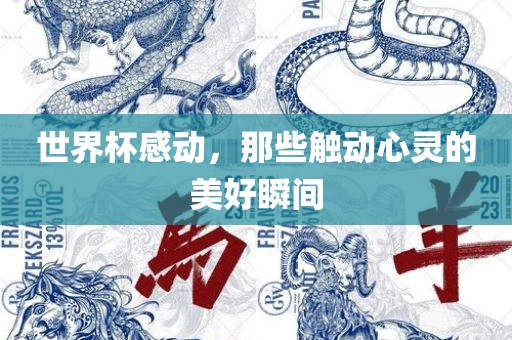 世界杯感动，那些触动心灵的美好瞬洛阳市法福文化传播有限公司间
