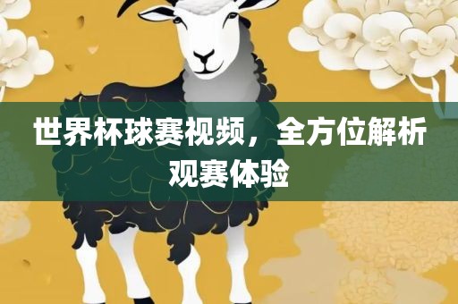 世界杯球赛洛阳市法福文化传播有限公司视频，全方位解析观赛体验