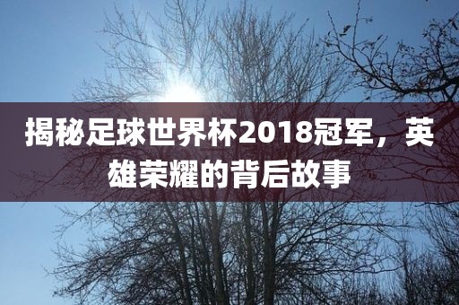 揭秘足球世界杯2018冠军，英雄荣耀的背后故事洛阳市法福文化传播有限公司