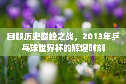 回顾历史巅峰之战，2013年乒乓球世界杯的辉煌时刻