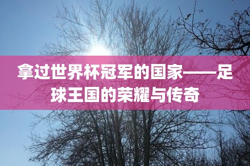 拿过世界杯冠军的国家——足球王国的荣耀与传奇洛阳市法福文化传播有限公司