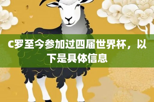 C罗至今参加过四届世界杯，以下是具体信息洛阳市法福文化传播有限公司