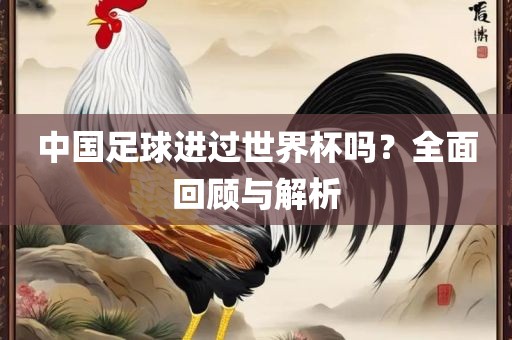 中国足球进过世界杯吗？全面回顾与解析