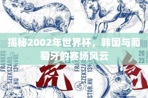 揭秘2002年世界杯，韩国与葡萄牙的赛场风云