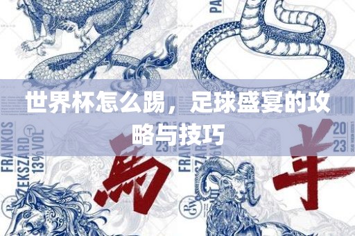 世界杯怎么踢，足球盛宴的攻略与技巧