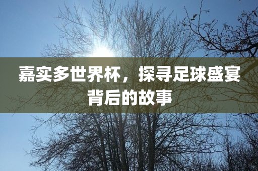 嘉实多世界杯，探寻足球盛宴背后的故事洛阳市法福文化传播有限公司