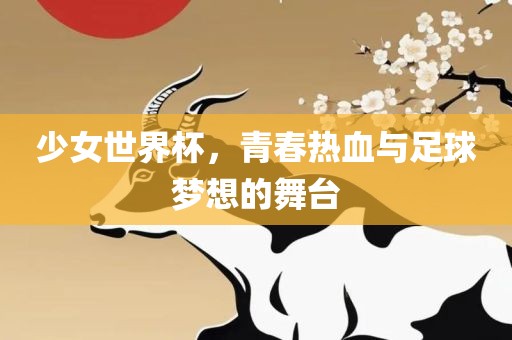 少女世界杯，青春热血与足球梦想的舞台洛阳市法福文化传播有限公司