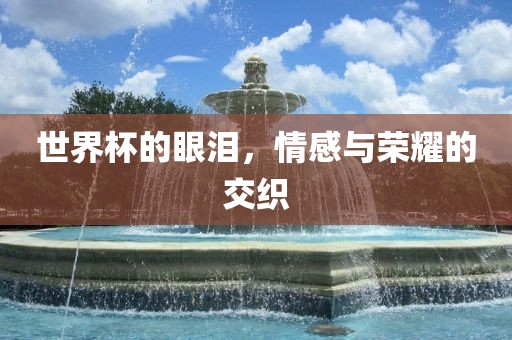 世界杯洛阳市法福文化传播有限公司的眼泪，情感与荣耀的交织