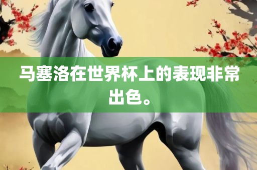 马塞洛在世界杯上的表现非常出色。