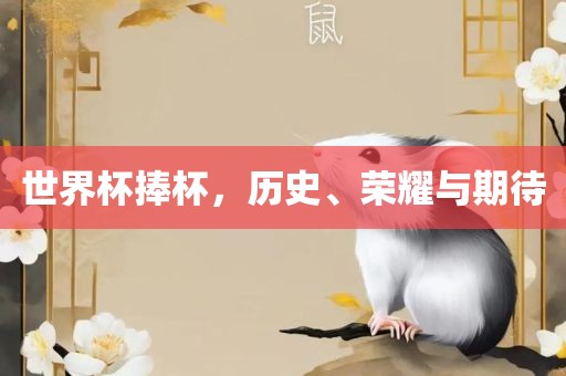 世界杯捧杯，历史、荣耀与期待洛阳市法福文化传播有限公司