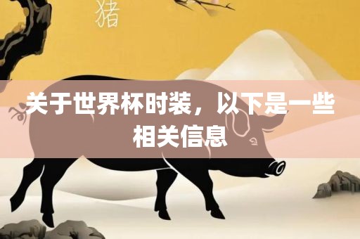 关于世界杯时装，以下是一些相关信息