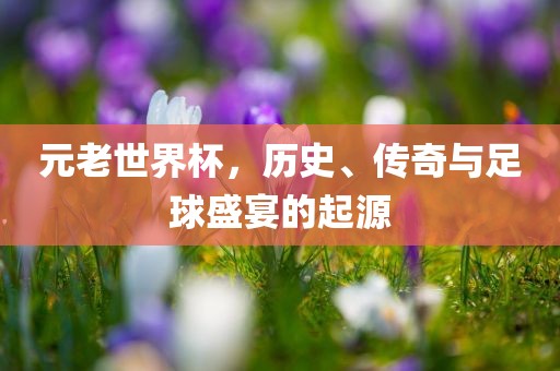 元老世界杯，历史、传奇与足球盛宴的起源洛阳市法福文化传播有限公司